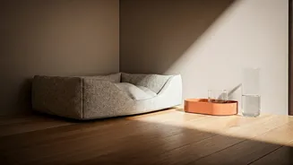 Quiet Luxury Pet Stays Expand In Mumbai, Bengaluru