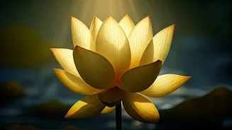 Leo Daily Horoscope: April 14, 2026 - Find Clarity Over Force for Progress