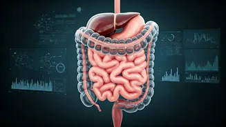 Dietitians Are Making Gut Health Less Trendy, More Real