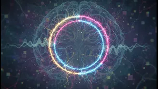 How newly discovered cerebellar mechanisms control precision movement loops under stress