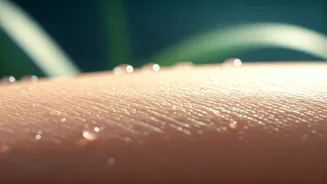 Protecting Skin Barrier Is This Season's Priority