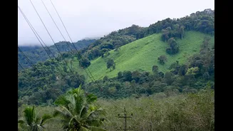 Exploring Coorg: A Monsoon Paradise in India