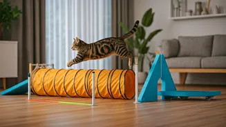 Cat Parents Install Indoor Agility Obstacle Courses For Rainy Days