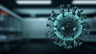 H5N1 Avian Flu in Chennai: Understanding the Risks, Symptoms, and Essential Prevention