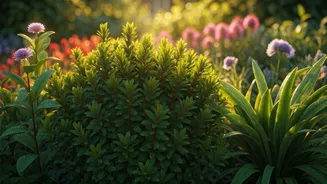 June Gardening Is All About Timely Trims