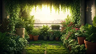 Balcony Plants Need A June Monsoon Makeover
