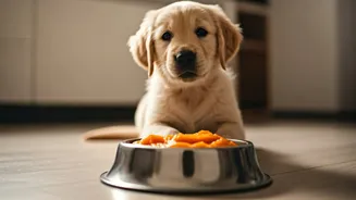 Calm Anxious Puppies Serving Frozen Pumpkin On Lick Mats