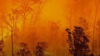 How Farm Fires Can Affect Air Quality Beyond The Fields