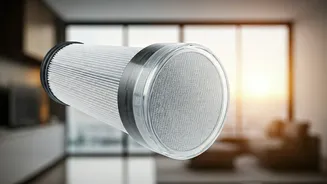 Breathing Easy: The Reality of Air Purifiers in NCR Homes