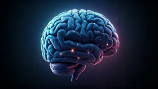 Unraveling the Midnight Mind: Why Your Brain Replays Conversations & How to Stop