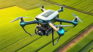 Soundwave Technology Delivers Safe Non Chemical Pest Control To City Farms