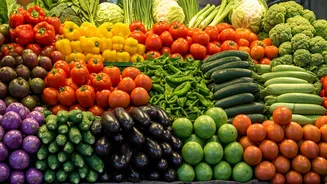 India's Vegetarian Hotspots: Top 10 Countries