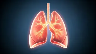 Related Stories banner