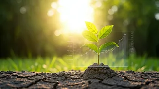 Climate Literacy: A Crucial Skill for Future Generations