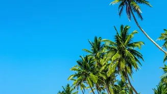 Why Sri Lanka Remains A Top Choice For Last Minute Getaways From Indian Cities