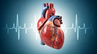 Walking for Health: Does It Mean a Healthy Heart?