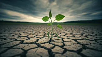 Food Inflation Could Follow Below-Normal Rainfall