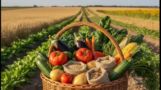 Why Crop Diversity And Hidden Hunger matters for the role of local food availability in hidden hunger