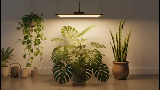 The Most Effective Green Corner Begins With One Reliable Light Source
