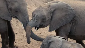 5 lesser-known safari destinations worth exploring in Africa