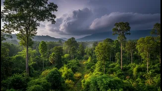 India's Future Vegetation Growth Forecasts Suggest Greener Landscapes Without Guaranteeing Lower Climate Risk