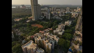 Maharashtra Resident Doctors to Begin Indefinite Strike Over Homeopathy Registration Policy