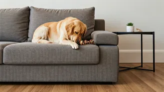 Fur, Claws And Wet Paws Shape Homes