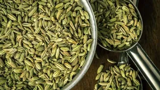 5 traditional dishes that celebrate fennel seeds