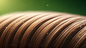 Unlock Thicker Locks: 5 Essential Morning Habits for Luscious Hair Growth