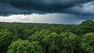 Monsoon Moves Into Vidarbha Bringing Ultimate Rainfall Surge This Week