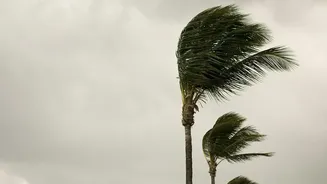 Cyclone Arnab Forecast: Which States Are Expecting Landfalls And Heavy Rainfall Spells