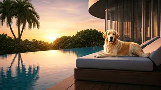 Pawprint Economy Booms As Pet Inclusive Indian Resorts Expand Rapidly