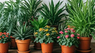 Finding Your Community: A Wellness Journey