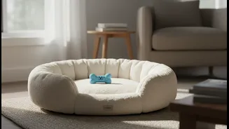 A Quiet Corner Helps Pets Rest Without Being Cut Off From The Home