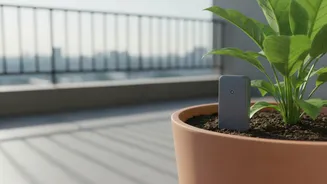 How Micro-Engineered Soil Sensors Prevent Root Decay In Balcony Container Gardens