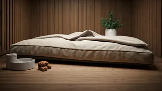Quiet Luxury Pet Stays: Inside The New Trend