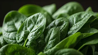 5 Natural Weight Loss Hacks: A Coach's Secrets