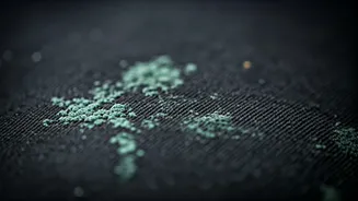 Fungal Risks Make Damp Coats A Problem
