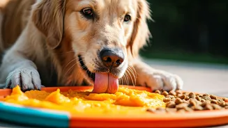 Survive Summer Boredom Filling Dog Enrichment Mats With Pumpkin
