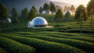 Misty Geodesic Glamping Domes Take Over Romantic Tea Estate Fields