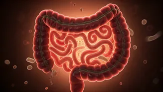 Nurture Your Gut: A Comprehensive Guide to a Thriving Microbiome