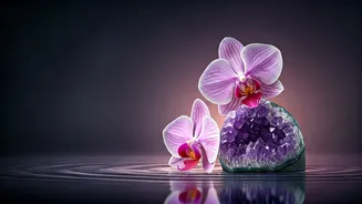 Capricorn Horoscope May 10-16, 2026: Embracing Affection, Creativity, and Inner Peace