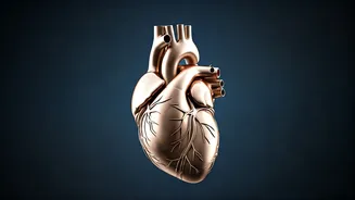 Flying and Your Heart: What You Should Know