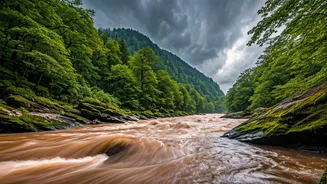 Meghalaya Rivers Explode In Grandeur As Rains Hit Shillong