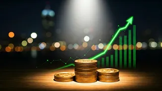 Bharat Coking Coal IPO: Should You Profit or Hold?