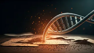 DNA Helps Scientists Track Disease’s Long Past
