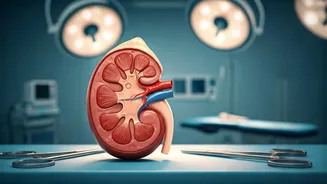 Healthy Kidneys: 5 Ways to a Better Life