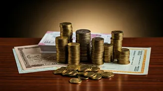 Decoding India's Market: Stocks, IPOs, and Investment Strategies