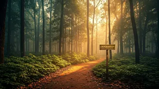 Corbett's Crowds Vanish: Fees, Booking Woes Hit Park Revenue by Crores