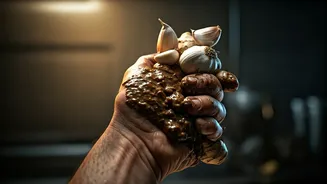 Hyderabad Food Safety Shock: Unsanitary Ginger-Garlic Paste Production Busted